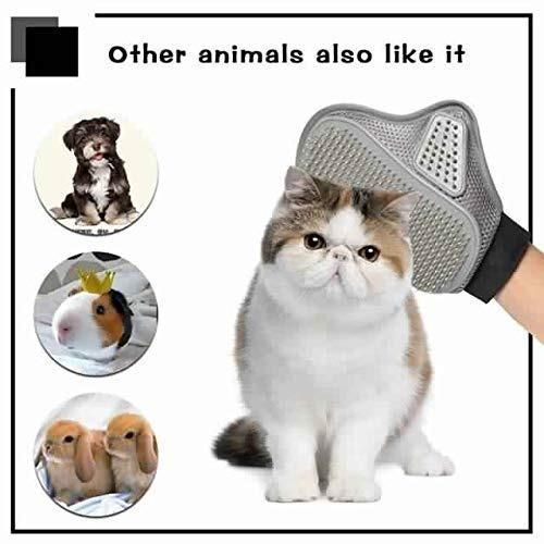 Stainless Steel Pet Grooming Glove - Gentle Deshedding Brush